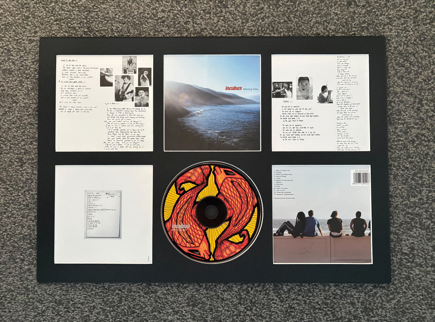 Incubus | Morning View | Retro Mounted CD Wall Display | Frame Not Included |