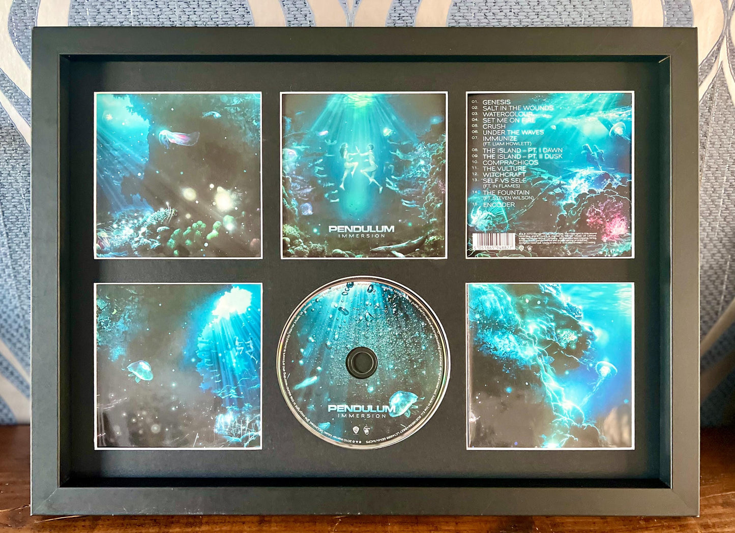 Pendulum | Immersion| Retro Mounted CD Wall Display | Frame Not Included |