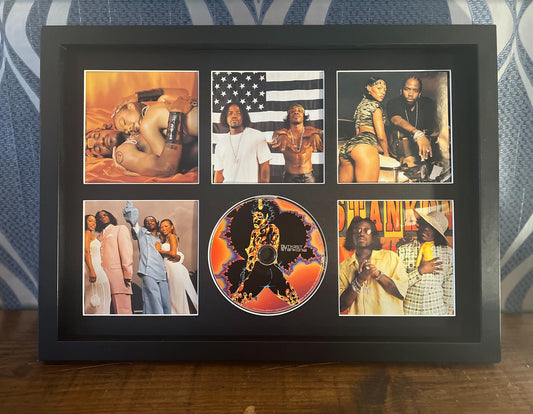 Outkast | Stankonia | Retro Mounted CD Wall Display | Frame Not Included |