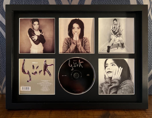 Bjork | Debut | Retro Mounted CD Wall Display | Frame Not Included |