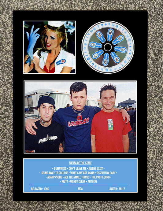 Blink 182 | Enema Of The State | Retro Mounted CD Wall Display | Frame Not Included |
