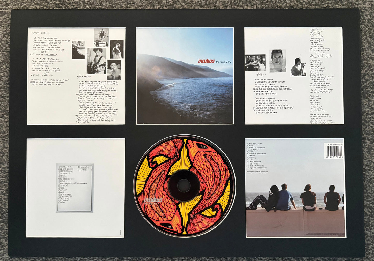 Incubus | Morning View | Retro Mounted CD Wall Display | Frame Not Included |