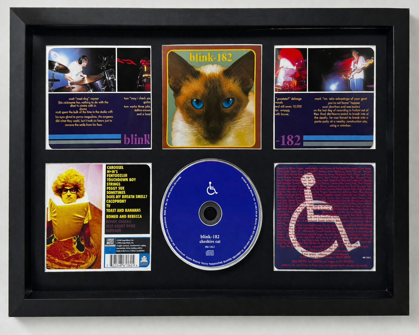 Framed display of a CD and related merchandise with images and text, including a cat photo.